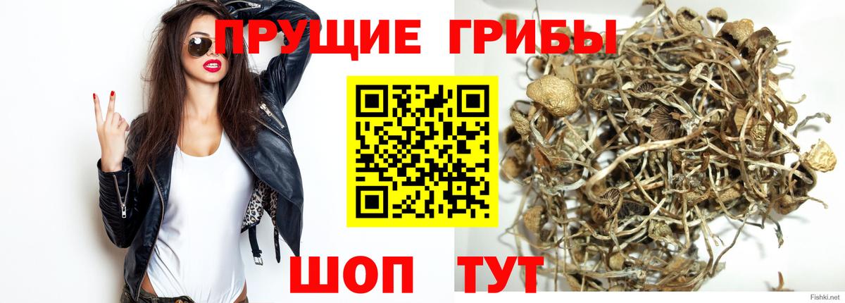 Озёрск  Галлюциногенные грибы мицелий  Вход с VPN 